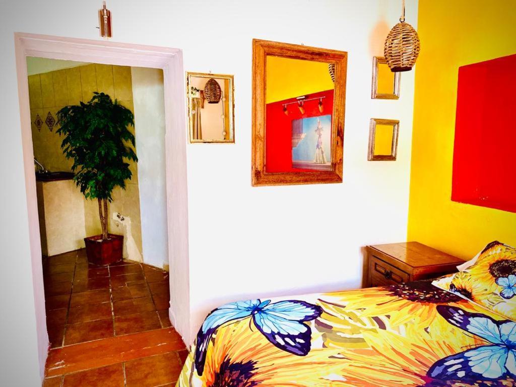 Casa Mexicana Hotel Guanajuato Luaran gambar